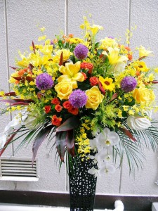 DSCN0748