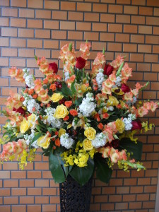 DSCN0989